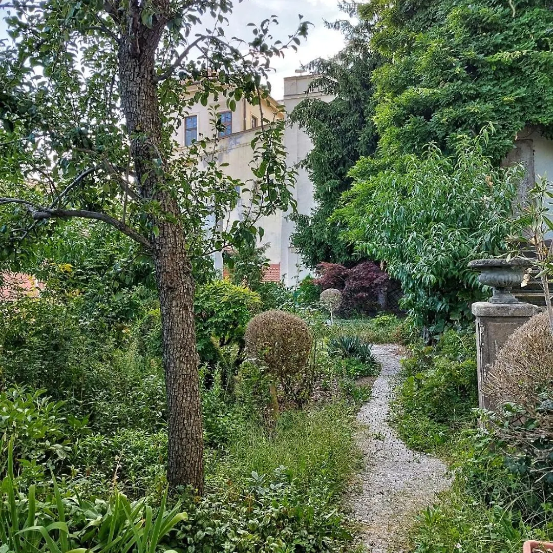 Apartman Hradcany 7 Prag Lägenhet